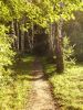 P9190032_.jpg