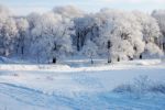 DSC_0078.JPG