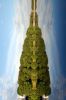 DSC_0112-2.JPG