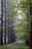 DSC_0190.jpg
