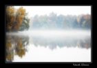 DSC_0341.1 copy.jpg