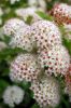 DSC_0500.JPG