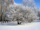 Файл : P2110035.JPG
Размер файла : 130KB
Размеры : 640x480
Дата добавления : Февр 11, 2008 P2110035.JPG