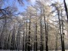 Файл : P2110064.JPG
Размер файла : 137KB
Размеры : 640x480
Дата добавления : Февр 11, 2008 P2110064.JPG