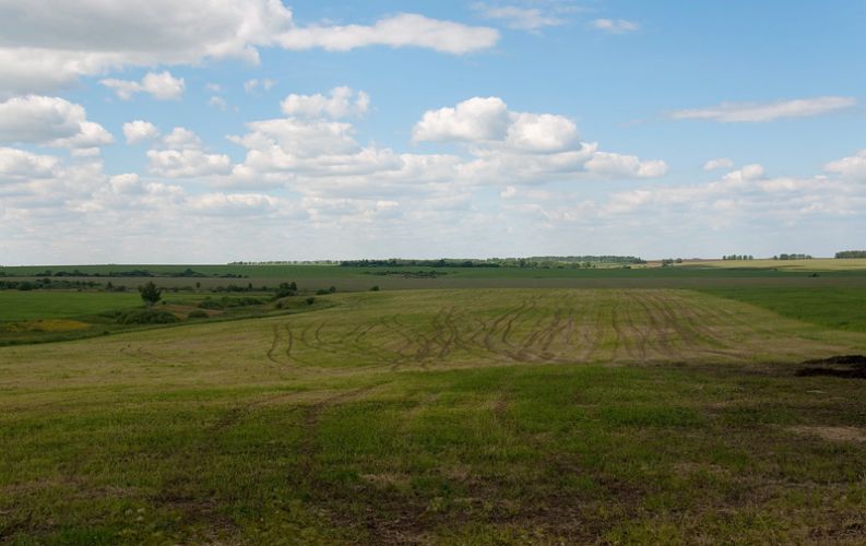 Нажать для просмотра полного размера