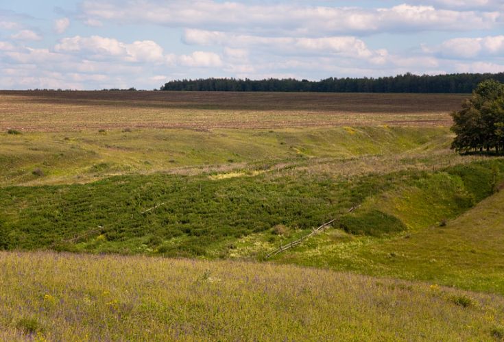 Нажать для просмотра полного размера