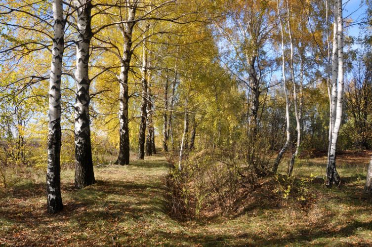 Нажать для просмотра полного размера