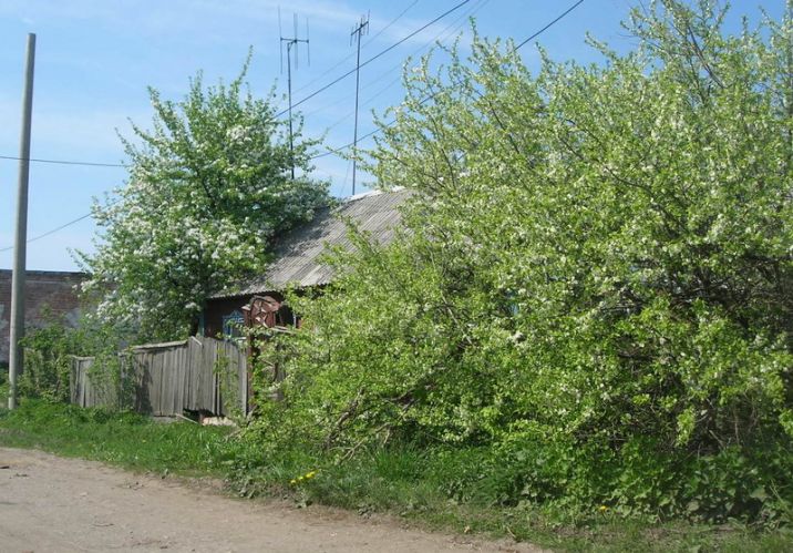 Нажать для просмотра полного размера