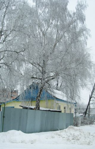 Нажать для просмотра полного размера