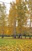 2009_park01.jpg