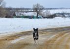 Файл : 201103_welcome.jpg
Размер файла : 232KB
Размеры : 800x558
Дата добавления : Дек 23, 2011 201103_welcome.jpg