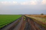 Файл : 201105_dirtroad.jpg
Размер файла : 162KB
Размеры : 800x528
Дата добавления : Июнь 10, 2011 201105_dirtroad.jpg