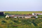 Файл : 201105_pap_farm.jpg
Размер файла : 228KB
Размеры : 800x532
Дата добавления : Июнь 10, 2011 201105_pap_farm.jpg