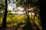 Файл : 201105_sunset.jpg
Размер файла : 372KB
Размеры : 800x531
Дата добавления : Июнь 10, 2011 201105_sunset.jpg