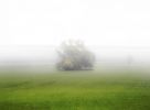 201109_fakefog.jpg