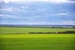 Файл : 201109_field.jpg
Размер файла : 159KB
Размеры : 800x531
Дата добавления : Февр 18, 2012 201109_field.jpg