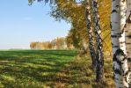 Файл : 201110_zo.jpg
Размер файла : 302KB
Размеры : 800x535
Дата добавления : Май 17, 2012 201110_zo.jpg