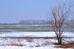 Файл : 201204_beg1.jpg
Размер файла : 420KB
Размеры : 1024x680
Дата добавления : Апр 03, 2013 201204_beg1.jpg