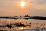 Файл : 201204_evening.jpg
Размер файла : 143KB
Размеры : 800x531
Дата добавления : Апр 17, 2012 201204_evening.jpg