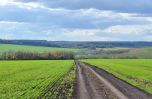 201209_field.jpg