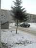 Файл : elka_pntg.jpg
Размер файла : 232KB
Размеры : 600x794
Дата добавления : Июль 29, 2008 elka_pntg.jpg