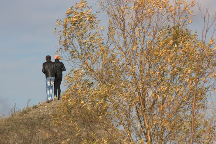 Нажать для просмотра полного размера