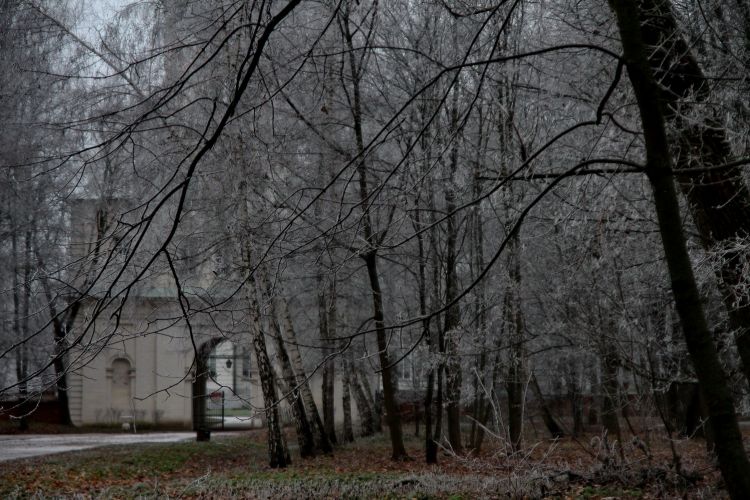 Нажать для просмотра полного размера