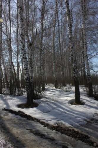 Нажать для просмотра полного размера