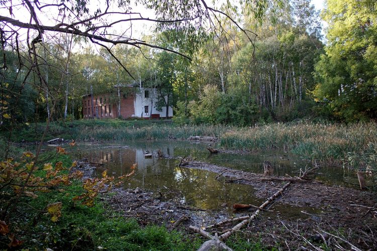 Нажать для просмотра полного размера