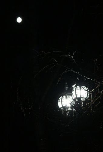 Нажать для просмотра полного размера