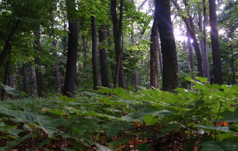 Нажать для просмотра полного размера