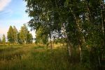 Файл : IMG_00000004754.jpg
Размер файла : 1382KB
Размеры : 1866x1244
Дата добавления : Июль 03, 2014 IMG_00000004754.jpg