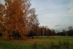 Файл : IMG_000007441.JPG
Размер файла : 854KB
Размеры : 1503x1002
Дата добавления : Окт 20, 2013 IMG_000007441.JPG