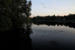 IMG_03230.jpg