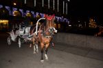 IMG_1223.jpg