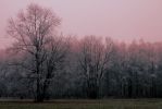 IMG_16110000000000000.jpg