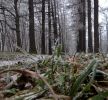 IMG_162855555.jpg