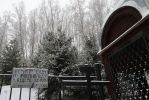 IMG_1730000000000000000000000.jpg
