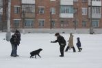 Файл : IMG_3460.jpg
Размер файла : 241KB
Размеры : 1025x684
Дата добавления : Февр 14, 2010 IMG_3460.jpg