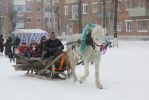 Файл : IMG_3463.jpg
Размер файла : 276KB
Размеры : 1025x684
Дата добавления : Февр 14, 2010 IMG_3463.jpg