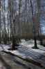 Файл : IMG_3889.jpg
Размер файла : 350KB
Размеры : 466x700
Дата добавления : Март 29, 2010 IMG_3889.jpg