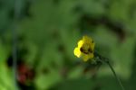 Файл : IMG_419563.jpg
Размер файла : 101KB
Размеры : 1030x685
Дата добавления : Июнь 04, 2010 IMG_419563.jpg