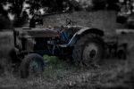 Файл : IMG_4627.CR2.jpg
Размер файла : 251KB
Размеры : 1030x685
Дата добавления : Июль 19, 2010 IMG_4627.CR2.jpg