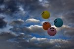 IMG_5055.jpg