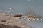 Файл : IMG_5330.JPG
Размер файла : 1206KB
Размеры : 1866x1244
Дата добавления : Ноябрь 04, 2013 IMG_5330.JPG