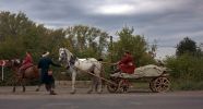 Файл : IMG_5494.jpg
Размер файла : 344KB
Размеры : 1258x673
Дата добавления : Сент 19, 2010 IMG_5494.jpg