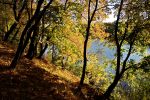 Файл : IMG_5699.jpg
Размер файла : 896KB
Размеры : 1282x854
Дата добавления : Сент 27, 2010 IMG_5699.jpg