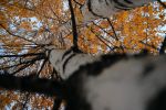 Файл : IMG_730000015.JPG
Размер файла : 752KB
Размеры : 1503x1002
Дата добавления : Окт 20, 2013 IMG_730000015.JPG