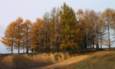Файл : IMG_740000009.JPG
Размер файла : 835KB
Размеры : 1548x928
Дата добавления : Окт 20, 2013 IMG_740000009.JPG