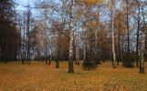 Файл : IMG_76000003.JPG
Размер файла : 948KB
Размеры : 1503x931
Дата добавления : Окт 20, 2013 IMG_76000003.JPG